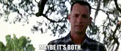 Forrest Gump Maybe It's Both