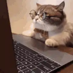Cat with glasses and bowtie typing on laptop