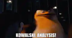 Skipper Kowalski Analysis