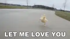 Goose running towards camera