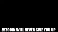 Rick Astley Bitcoin Never Give You Up