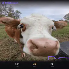 Cow face puzzle game