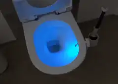 Toilet with blue night light