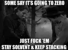 Some Say It's Going To Zero Just Fuck Em Stay Solvent And Keep Stacking