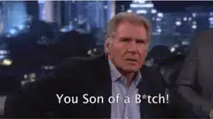 Harrison Ford You Son of a Bitch