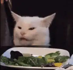 Cat looking disgusted at salad