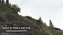 car flying off cliff
