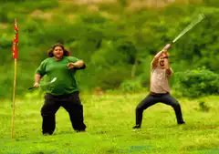 Two men swinging bats in a field