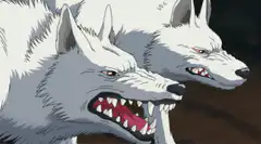 Two white wolves growling