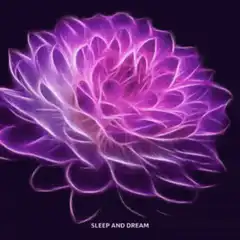 Glowing purple flower animation