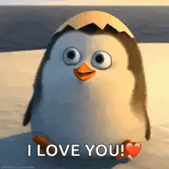 Baby penguin waves I love you