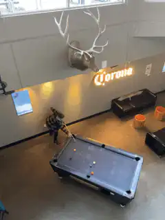 Turtle playing pool