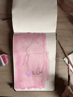 watercolor beetle painting timelapse