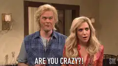 Are You Crazy?! SNL