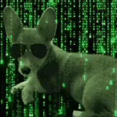 Matrix Doge with Sunglasses