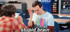 Sheldon slaps his head stupid brain