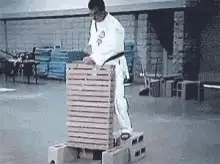 Karate master breaks stack of bricks