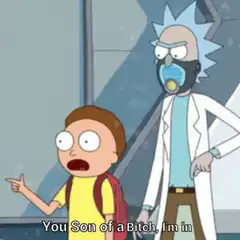 Rick and Morty You Son of a Bitch I'm in