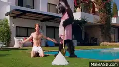 Man kneels as badger dumps flour on him