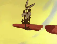 Wile E. Coyote falls off cliff