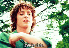 Frodo Baggins says You're late