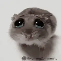 Crying hamster with big eyes