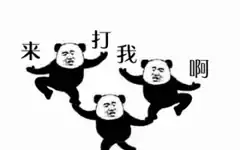 Three panda bears taunting each other