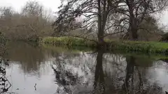 River with trees and reflections