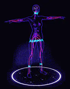 Holographic female body scan