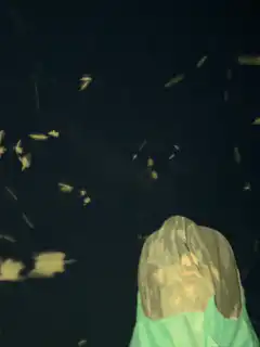 Person in green suit with flying debris