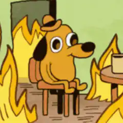 dog sitting calmly in burning room