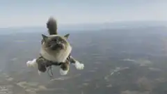 Cat skydiving over landscape
