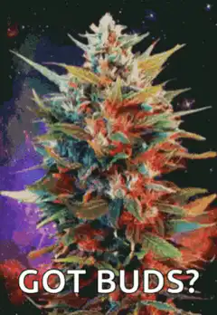 Got Buds? Cannabis Bud