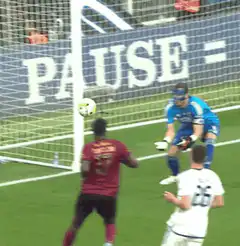 Soccer goalkeeper pauses ball