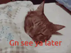 Cat goes to sleep Gn see ya later