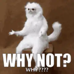 Why Not Cat Meme