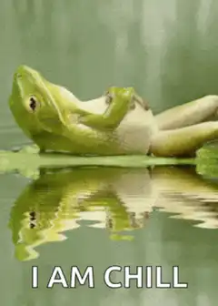 I Am Chill Frog