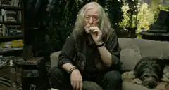 Dumbledore trying to tell a joke
