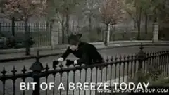 Man blown away by breeze