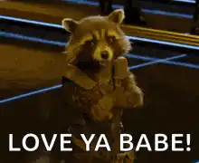 Rocket Raccoon Love Ya Babe