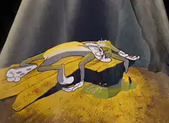 Wile E. Coyote passed out on rock