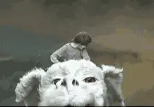 Child riding a giant dog