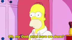 Homer Simpson Oh my God what have we done