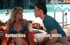 Authorities vs Bitcoin plebs