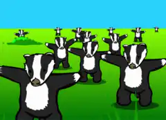 dancing badgers in a field