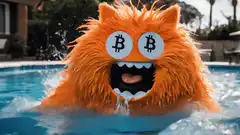 Bitcoin monster in pool