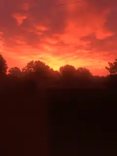 Fiery red sunset over trees