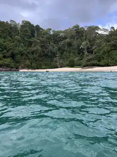 tropical beach from water