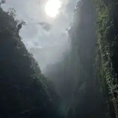 sunlight shining through misty canyon