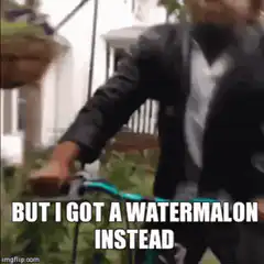 Watermelon Helmet Guy